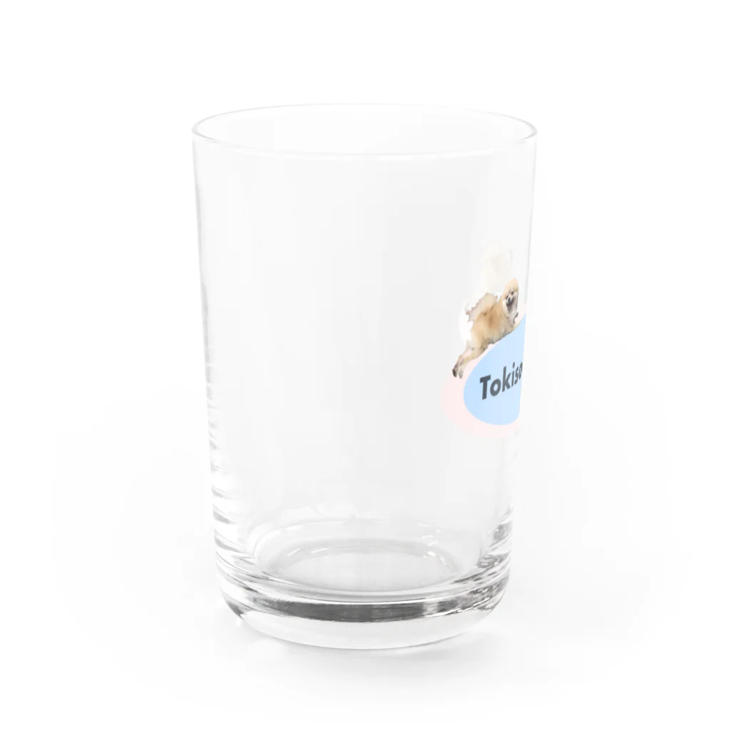 TOKISADAMEの２匹のトーストちゃん Water Glass :left