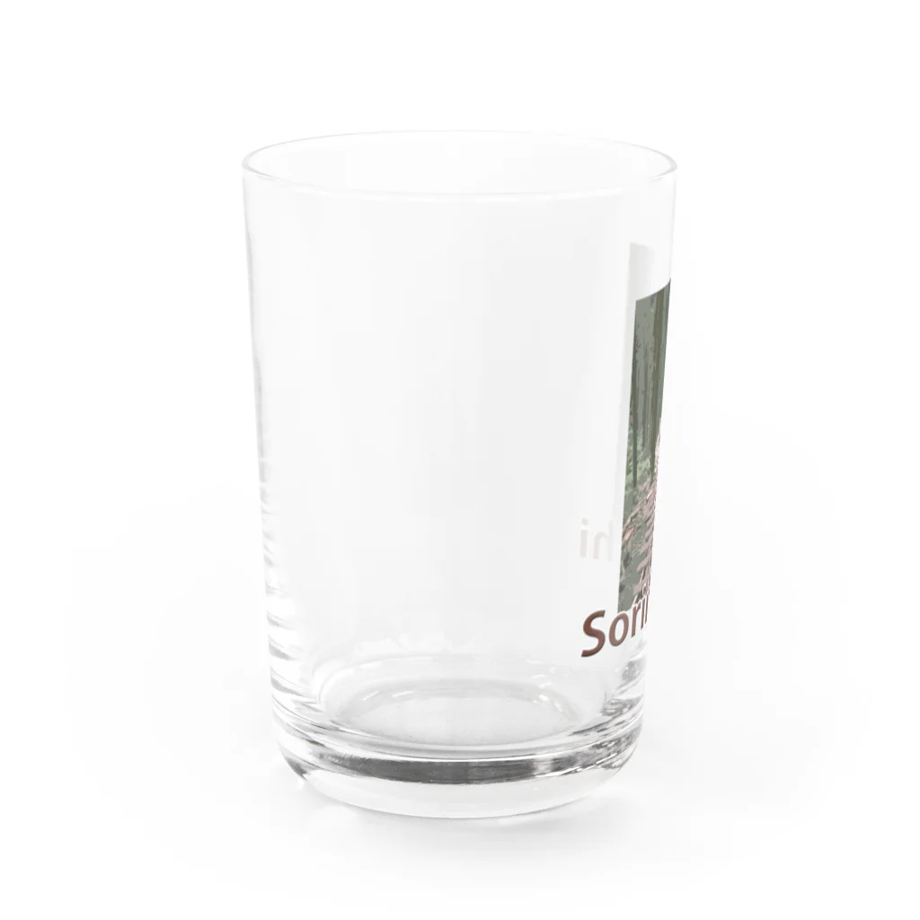 むかしごと研究会のソリミチ Water Glass :left