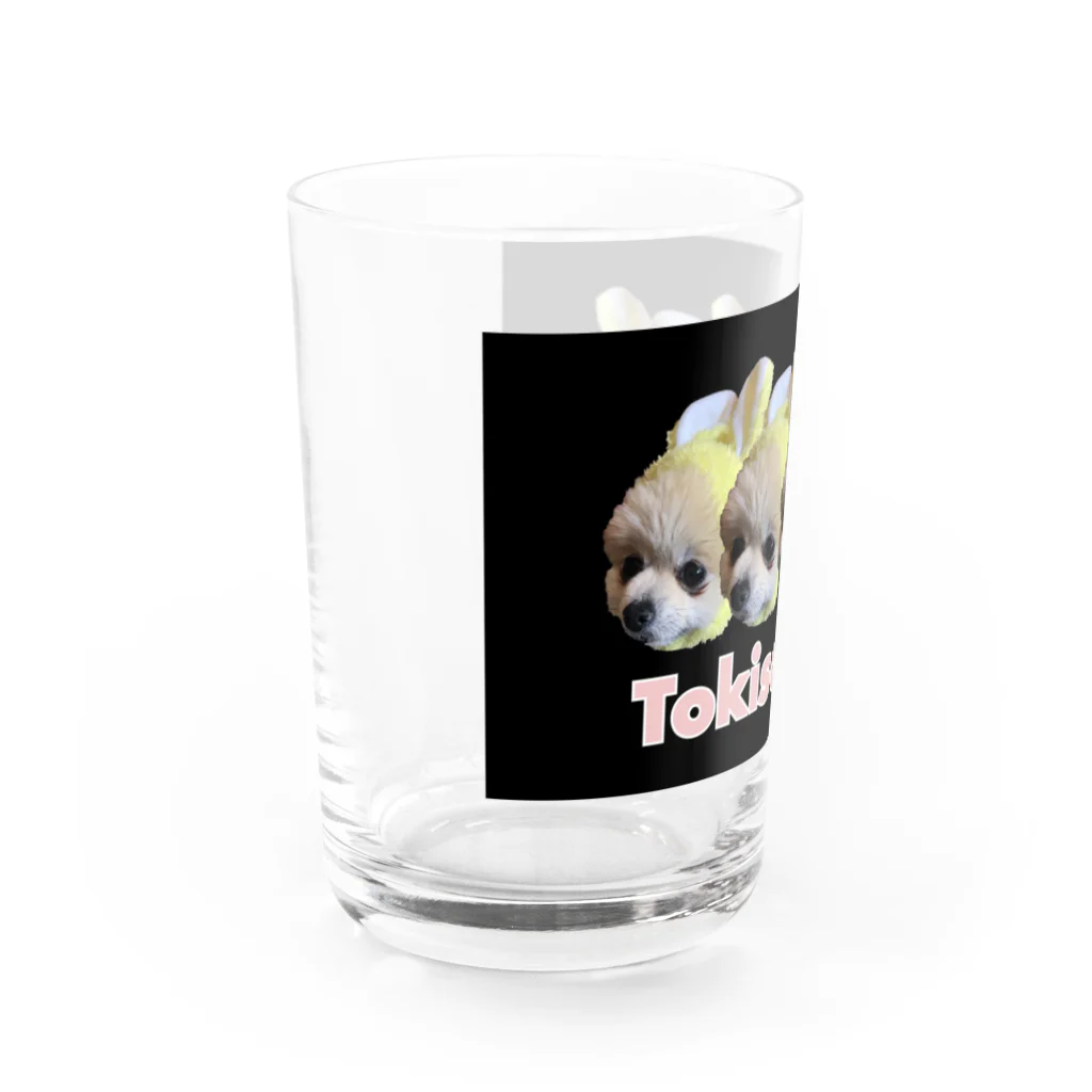 TOKISADAMEの腹黒トーストちゃんグッズ Water Glass :left