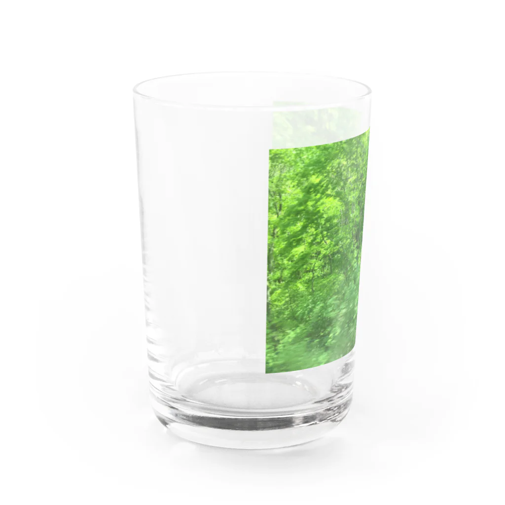 waKasaのMorino Water Glass :left