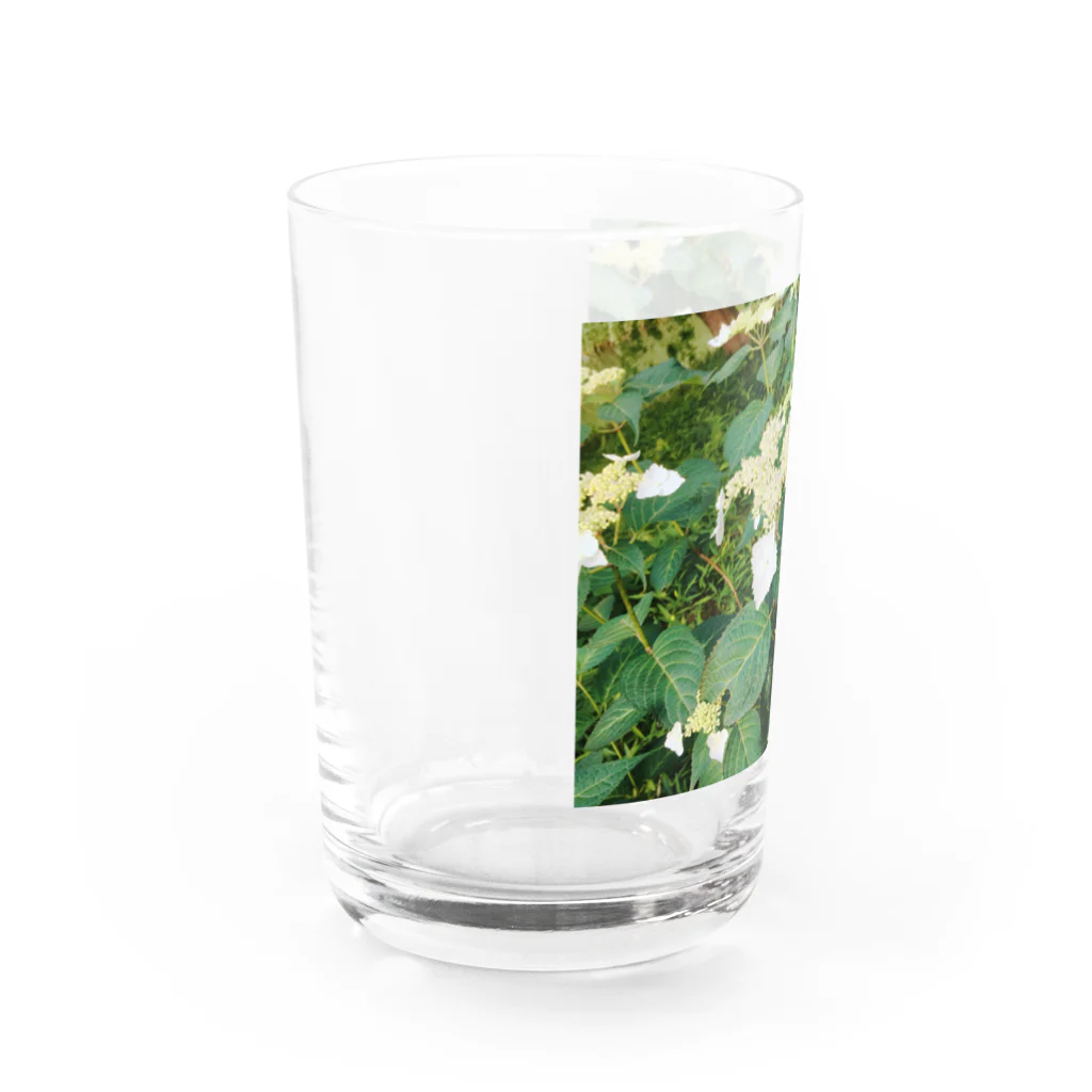 🍓塩野ネリコ🍓の6月ドロップ Water Glass :left