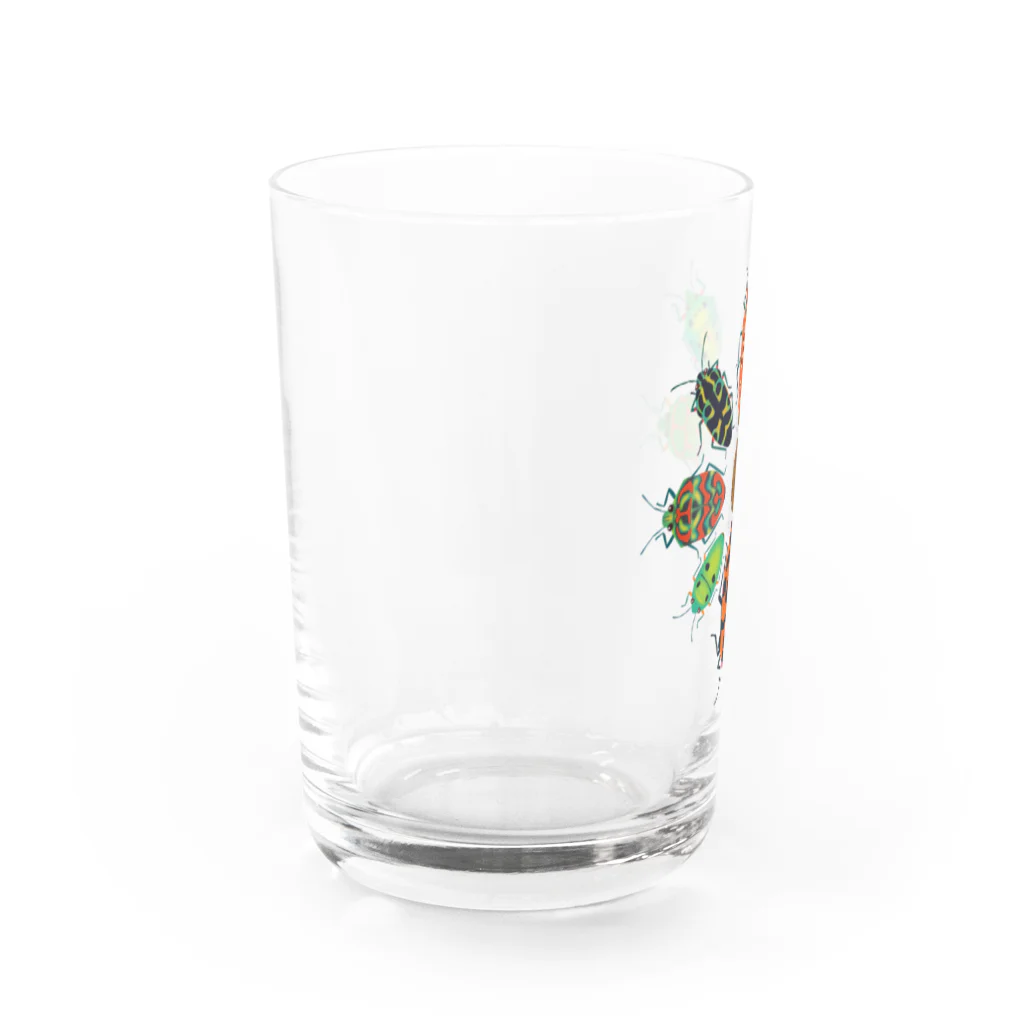 みのじの日本のキンカメムシ  Water Glass :left