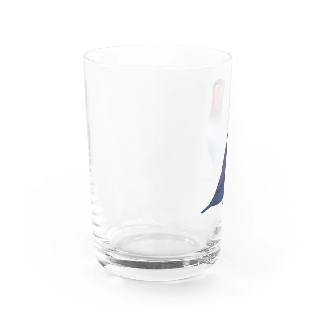 まめるりはことりのボタンインコ　おすましコバルトブルー【まめるりはことり】 Water Glass :left