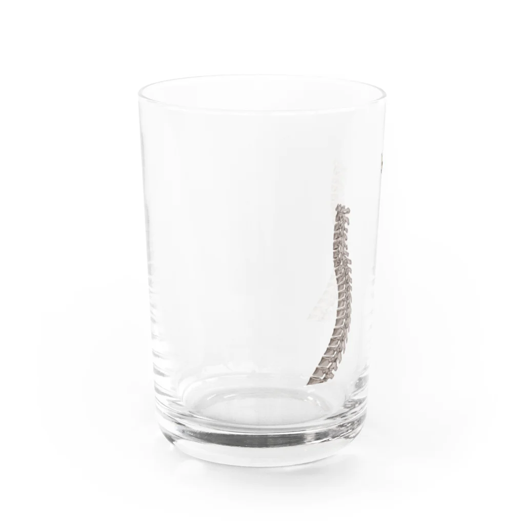 𝑎𝑤𝑖𝑘𝑜𝑡のmemento Water Glass :left