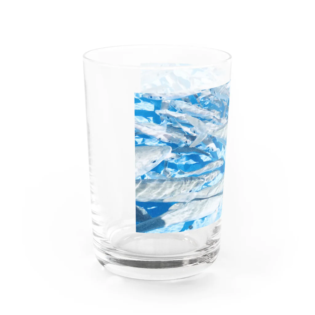 hamの魚影 Water Glass :left