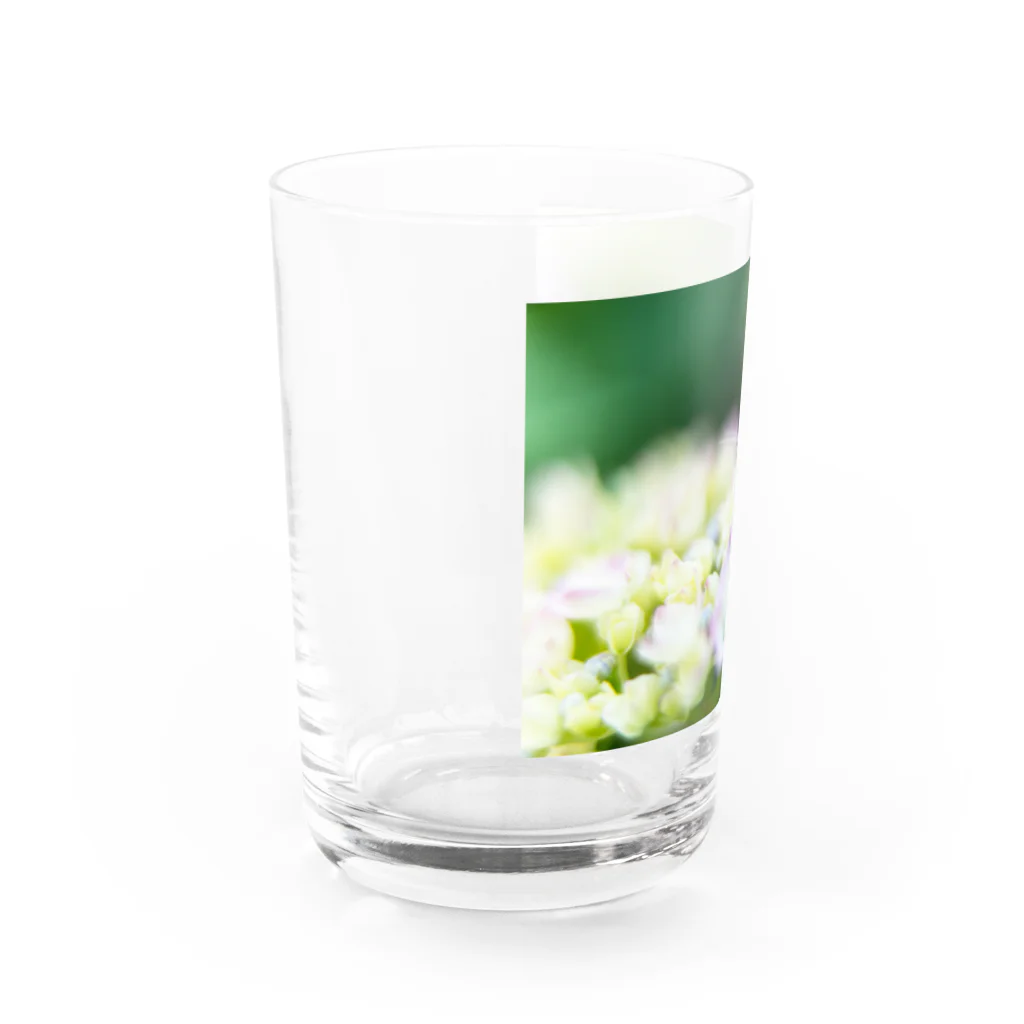 PhotoAtelier Aileのangel of hydrangea 170603 Water Glass :left