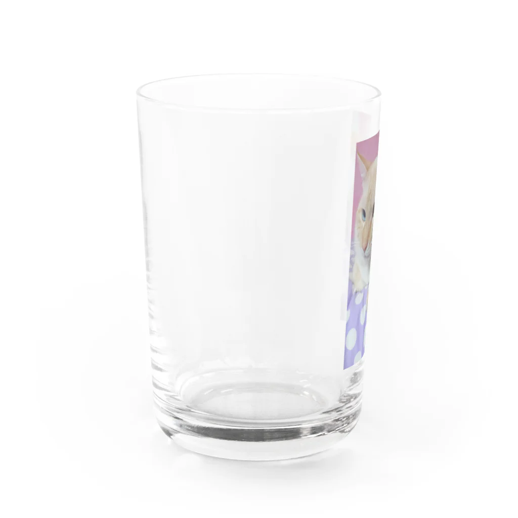 ねことお休みどころ　しらたまの【シャム氏】クリアコップ Water Glass :left