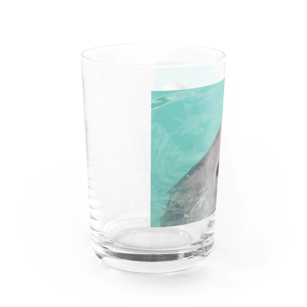smile牧場のイルカちゃん Water Glass :left