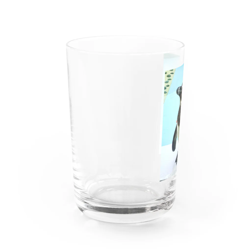 machiko kのエサまちのペンギン Water Glass :left