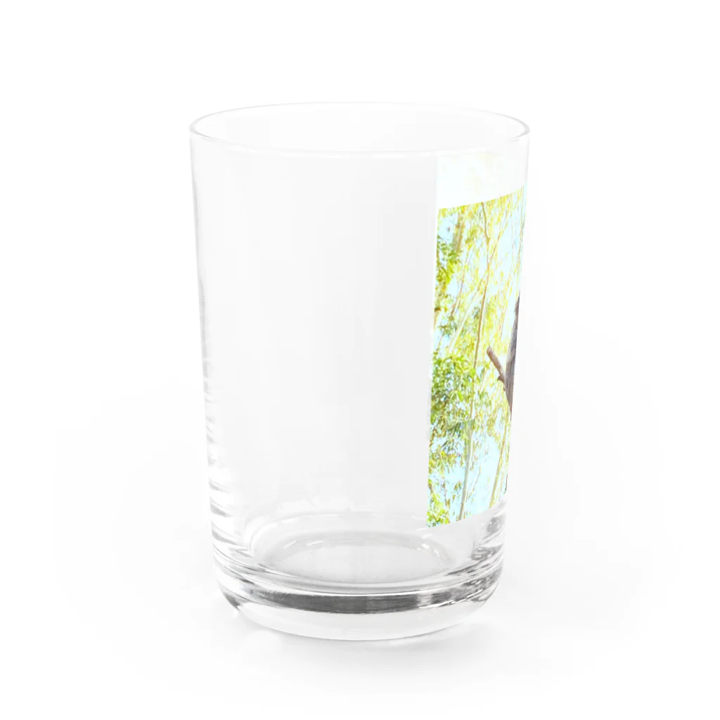 ゆっぴーの森 〜ゆるふわと安らぎ〜のコアラの眠り 〜シドニーLimited〜 Water Glass :left