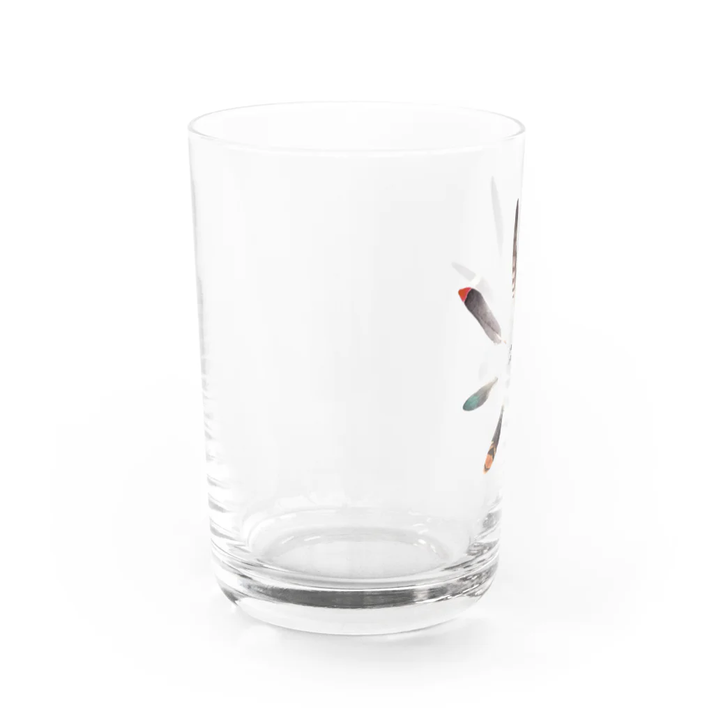 ヤマドリ屋のNO BIRD NO LIFE Water Glass :left