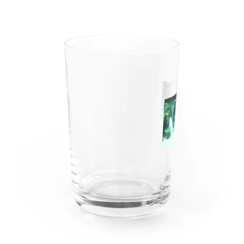 takenokoのアクアリウム Water Glass :left