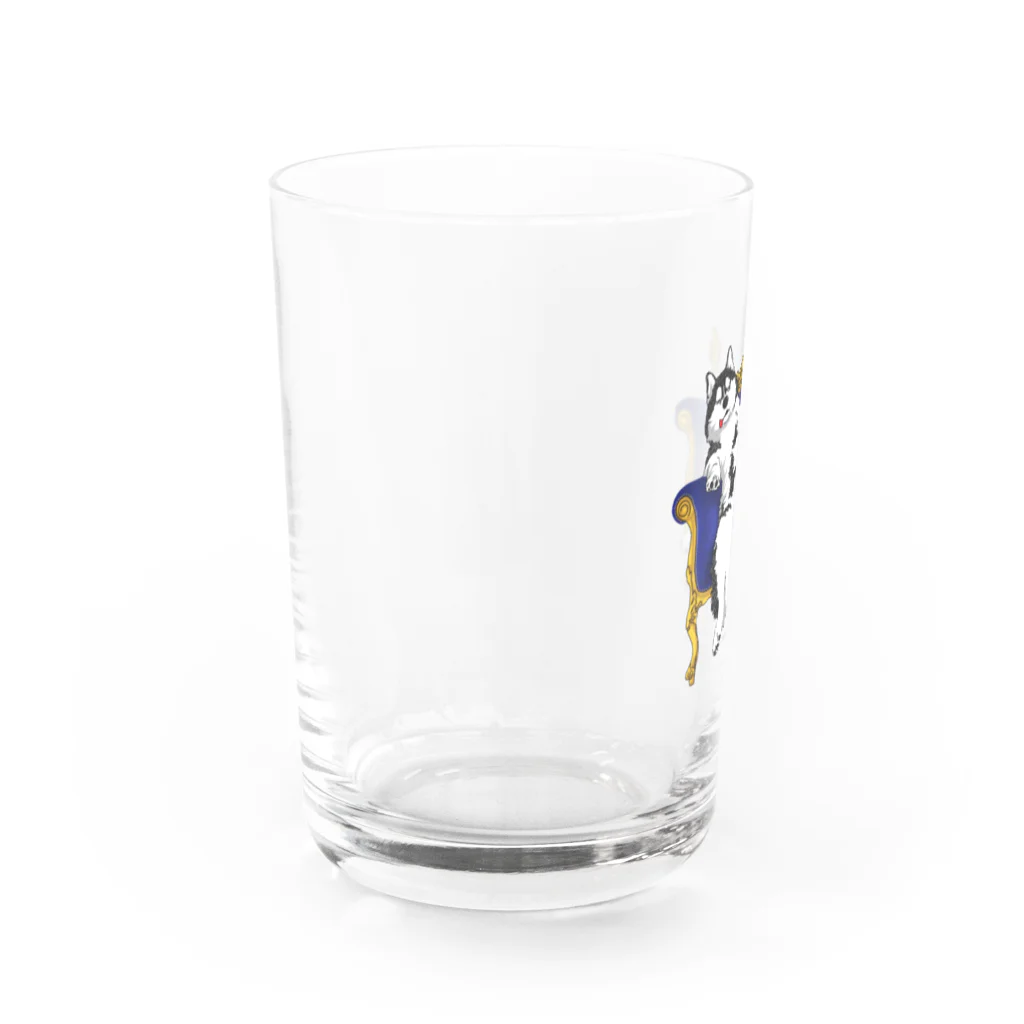 朔のボウルの青ソファーに座るハスキー Water Glass :left