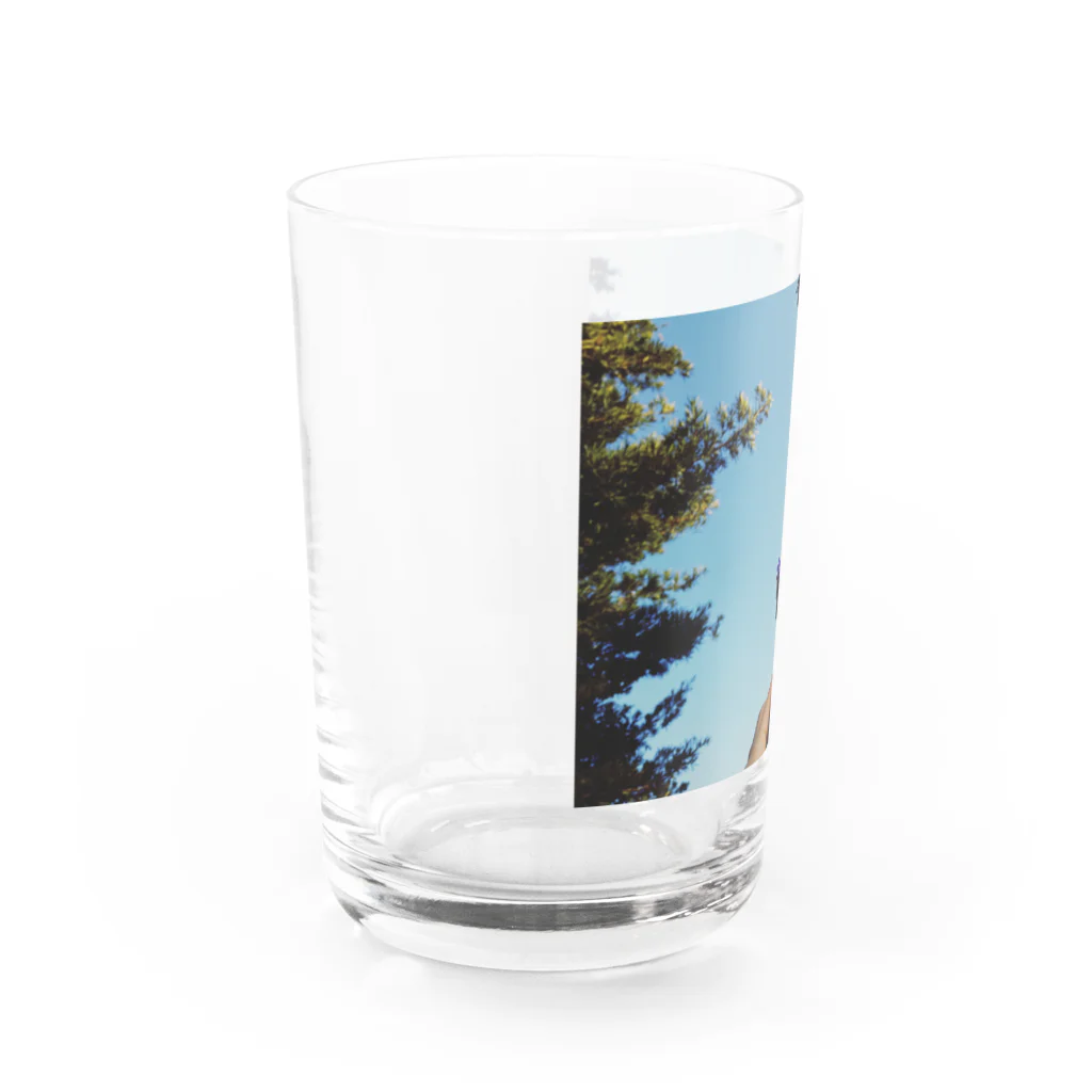 こじらせみきの庭の花 Water Glass :left