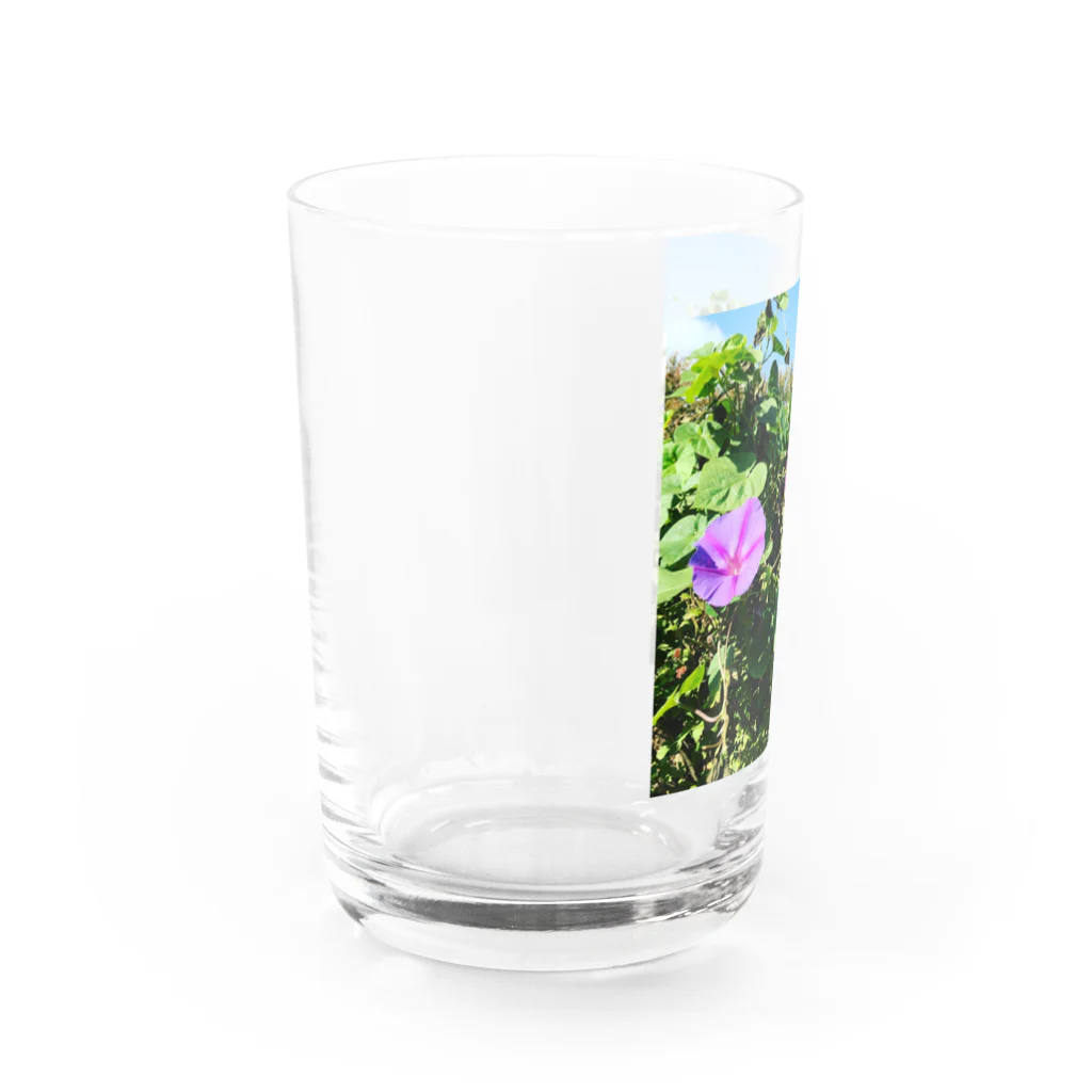 chachakoo5の夏の花 Water Glass :left