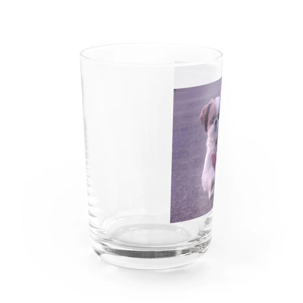 心メロンの心ちゃんグッズ Water Glass :left