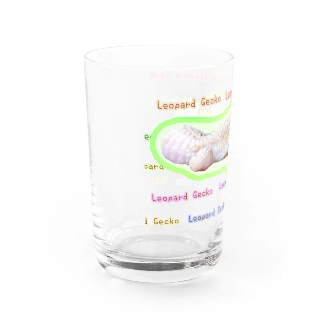 NukoNukoのレオパと王冠 Water Glass :left