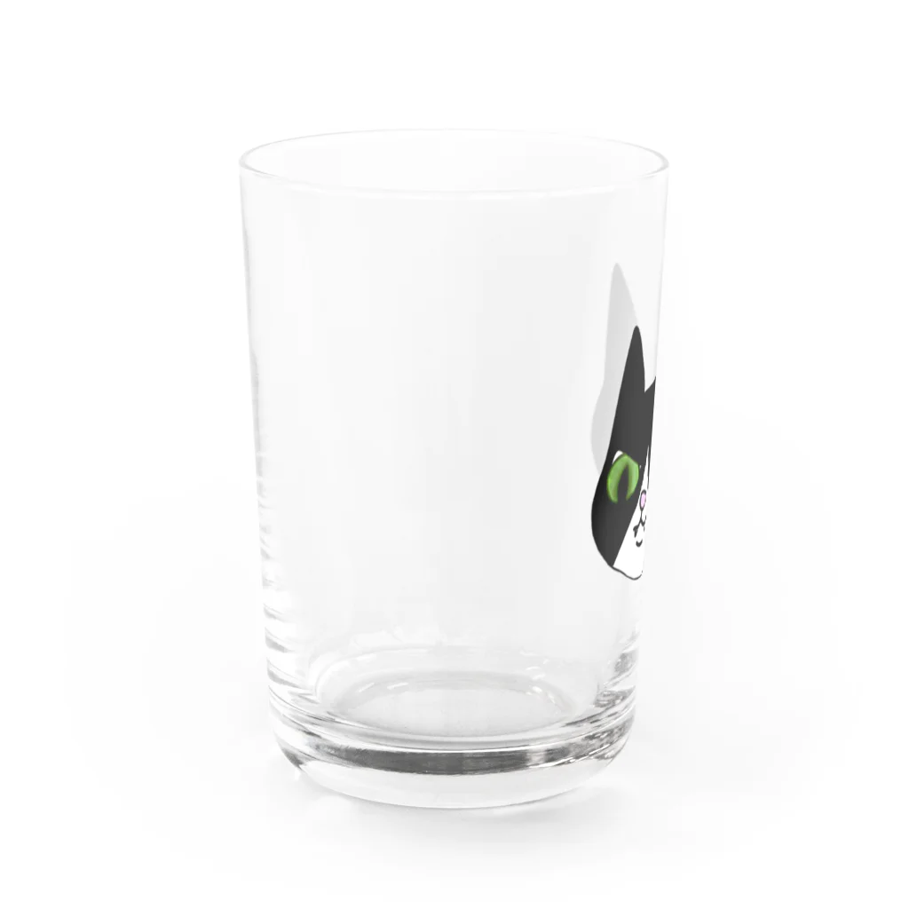 偽り太陽の白足袋福蔵 Water Glass :left