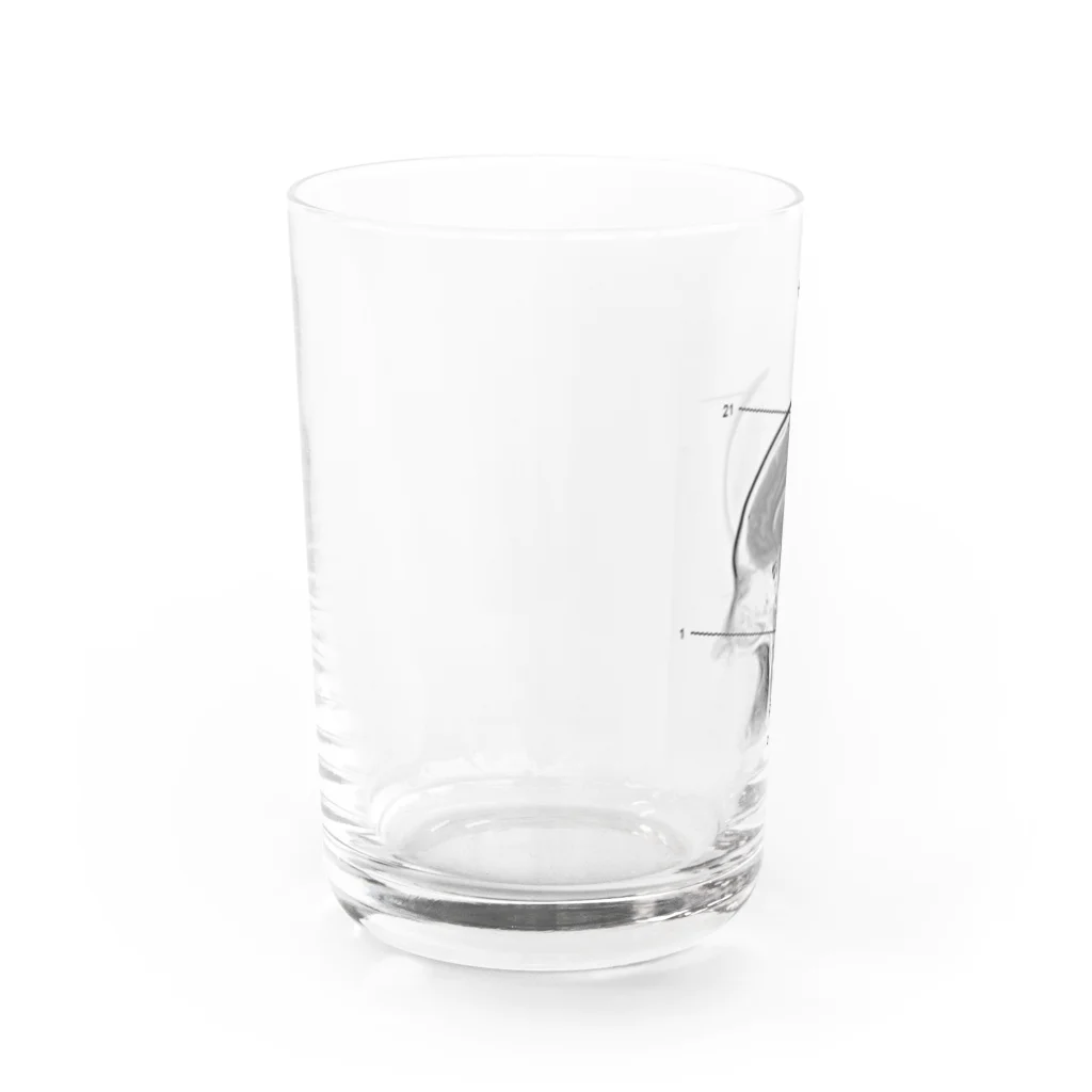 天網恢恢の私の脳グッズ（改） Water Glass :left