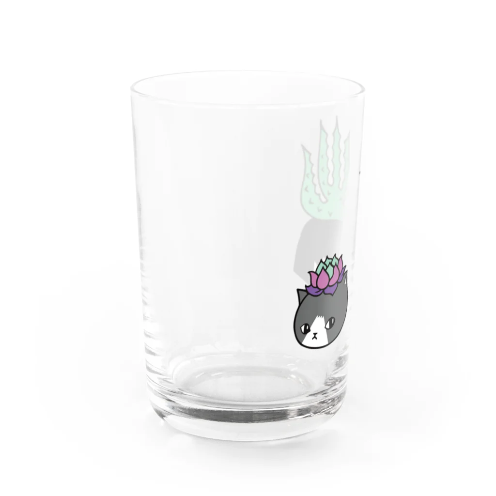 nanaqsaのアロエのアッちゃん隣にエケネコ Water Glass :left