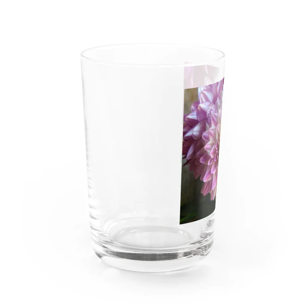 seide.blume～Ｄ＊Ｒ～のダリア Water Glass :left