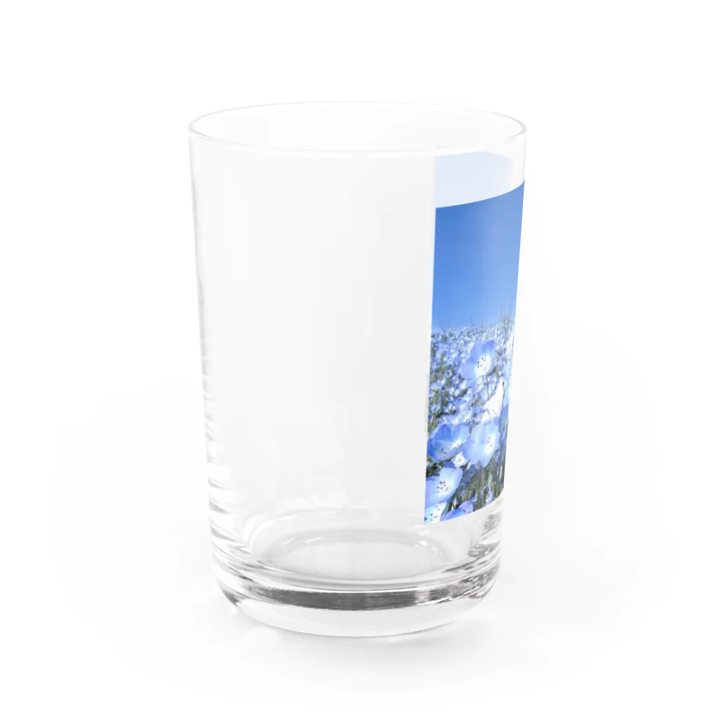 心メロンのネモフィラブルー💙 Water Glass :left