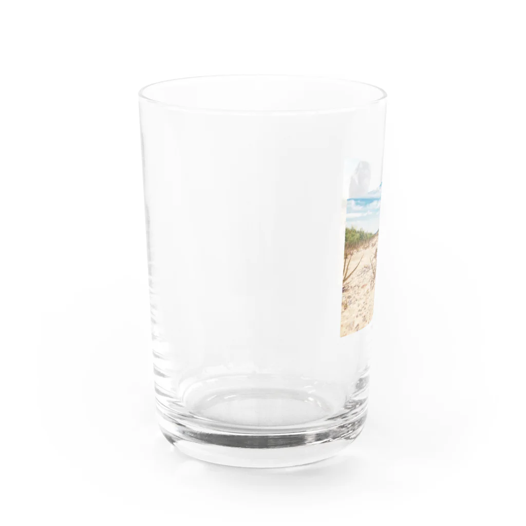 咲月の巨大パグ Water Glass :left