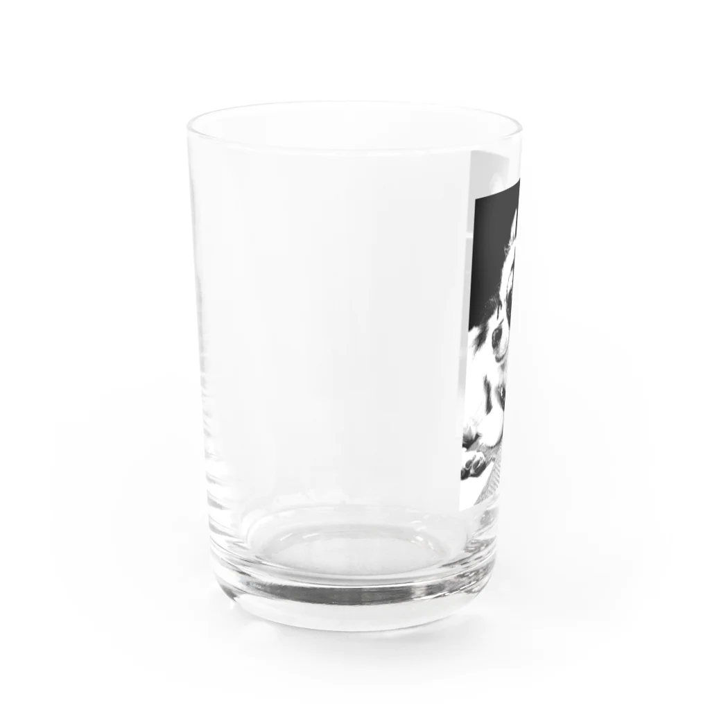 チワワのクレバーさんのドットチワワのクレバーさん Water Glass :left