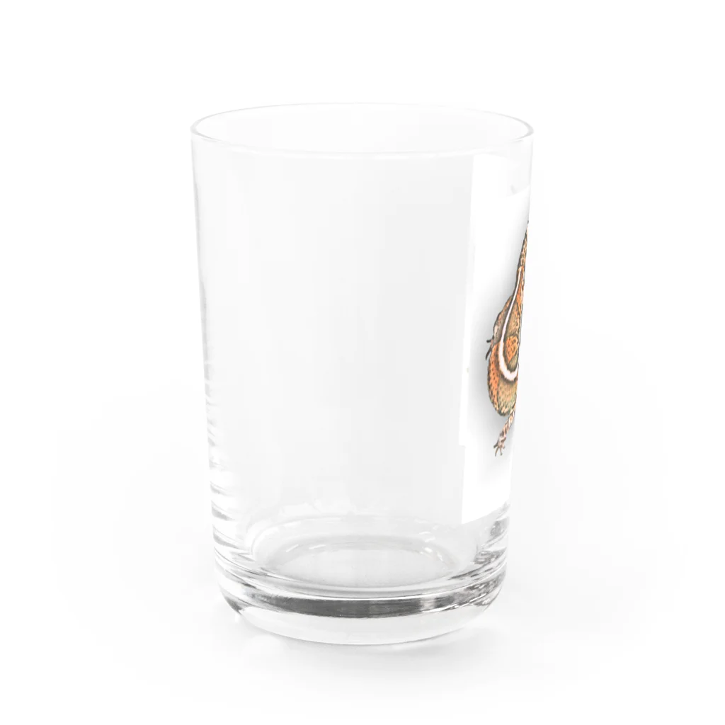 iNgeNuのにしあふ Water Glass :left