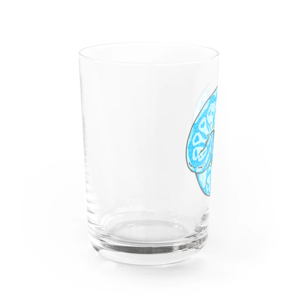 みzooのブルーなボールパイソン Water Glass :left