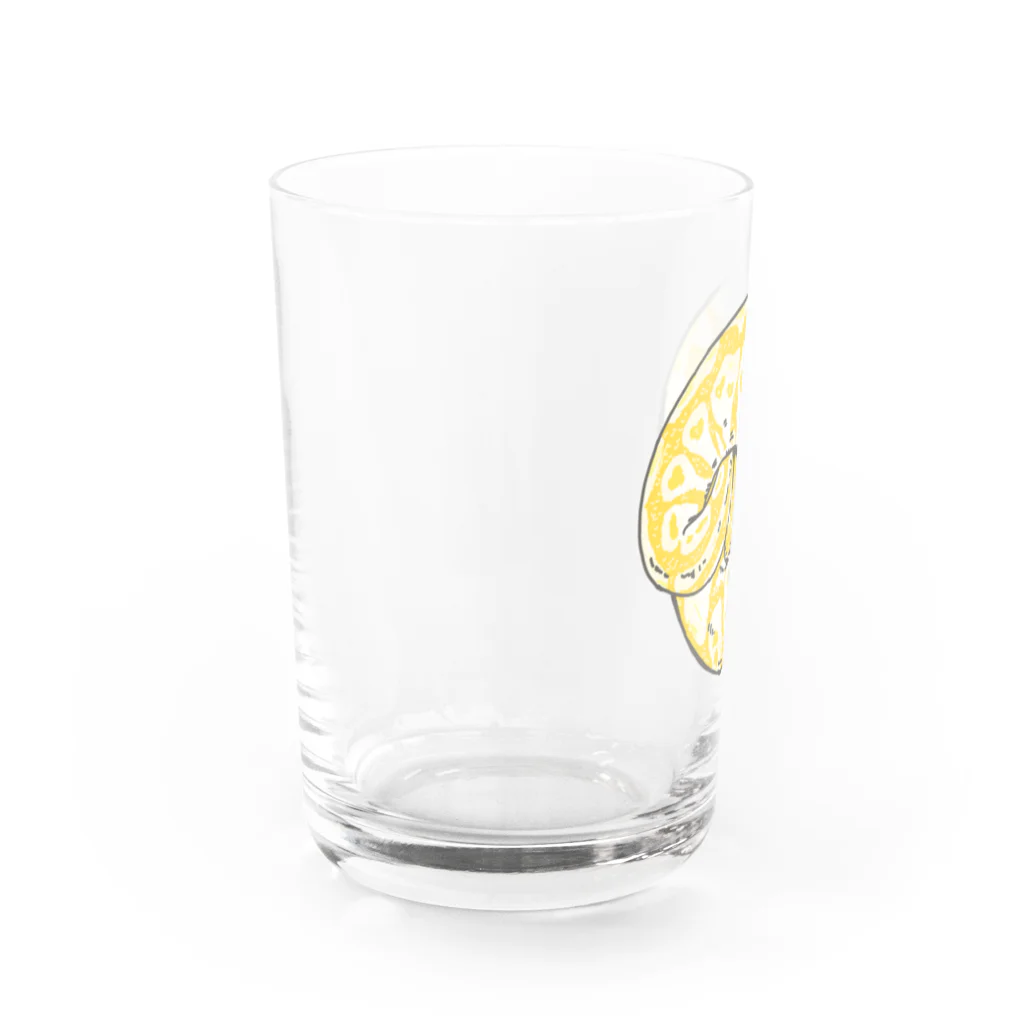 みzooのイエローなボールパイソン Water Glass :left