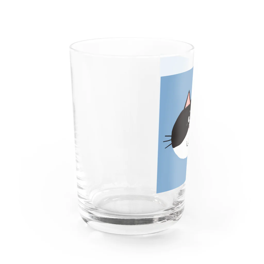 あおた｜猫好きイラストレーターのお茶目ブサカワフェイスの白黒ハチワレ猫 Water Glass :left