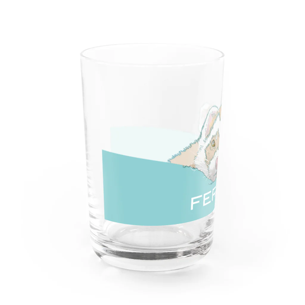 sasabayashi8のうとうとフェレット Water Glass :left