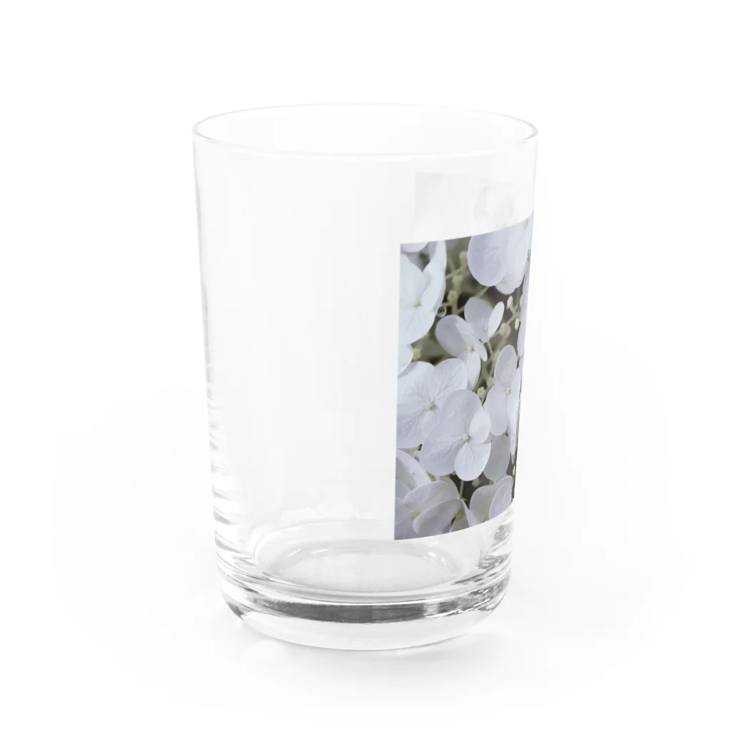 marihoのannabelle Water Glass :left