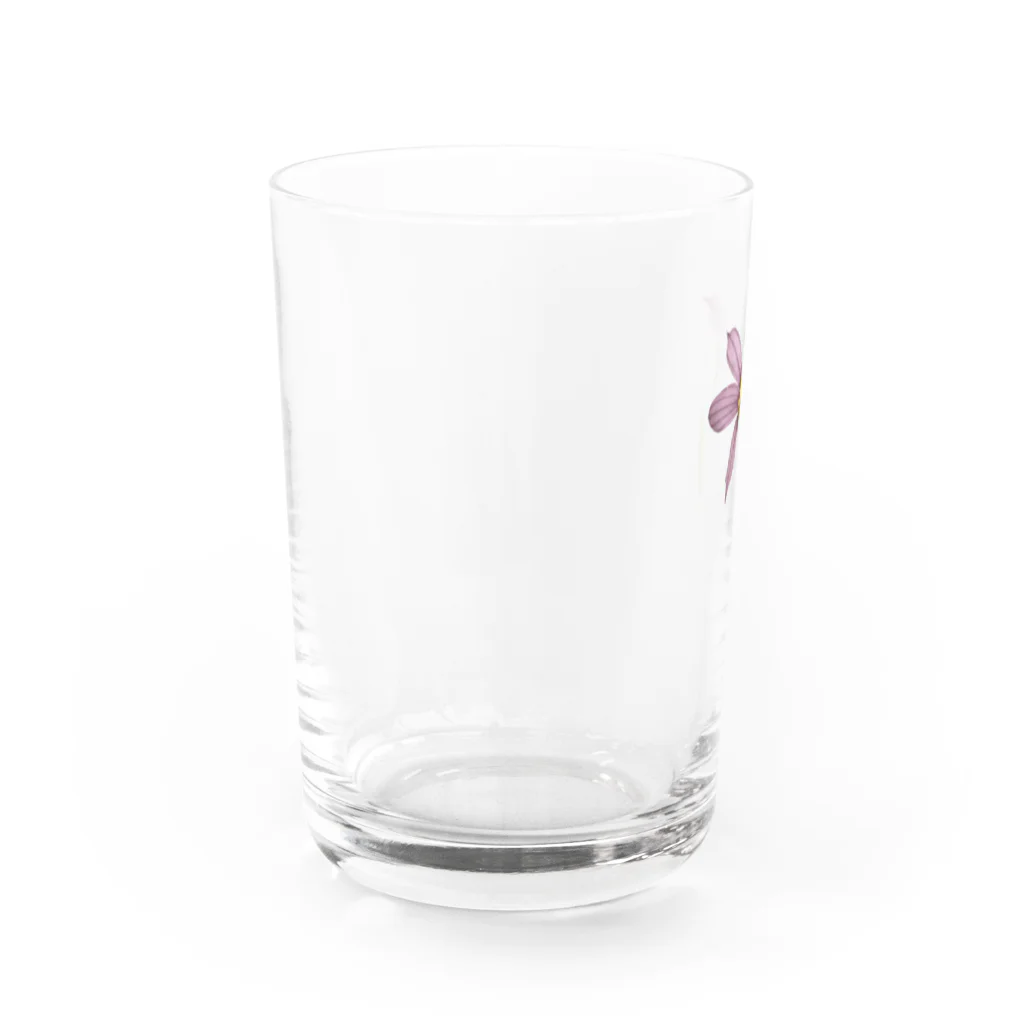 mkossguitarsの庭石菖/ニワゼキショウ Water Glass :left