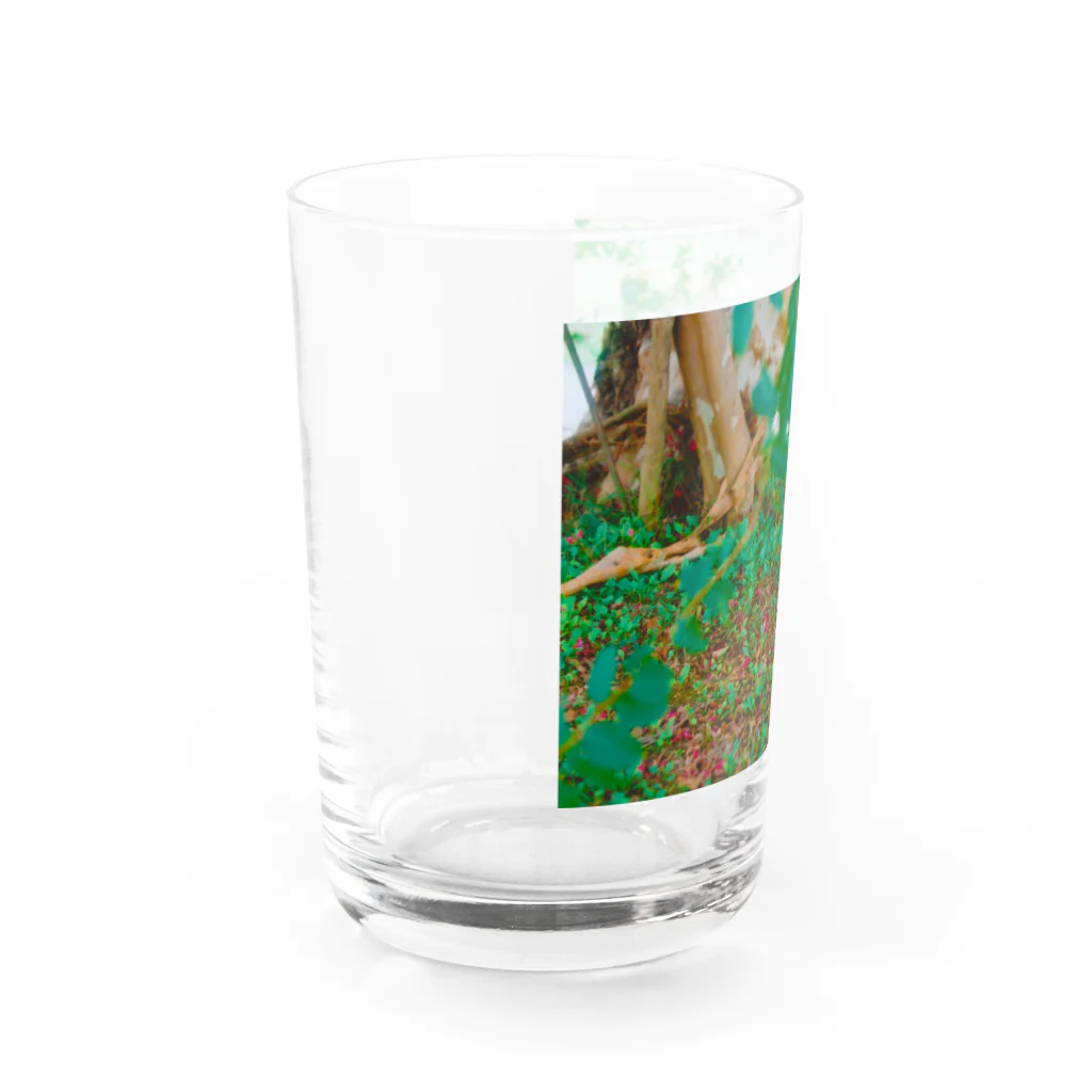 ＊KaO＊イロトリドリの妖精の森 Water Glass :left