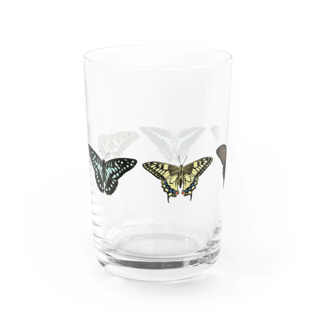 kitaooji shop SUZURI店のアゲハ蝶5種 Water Glass :left