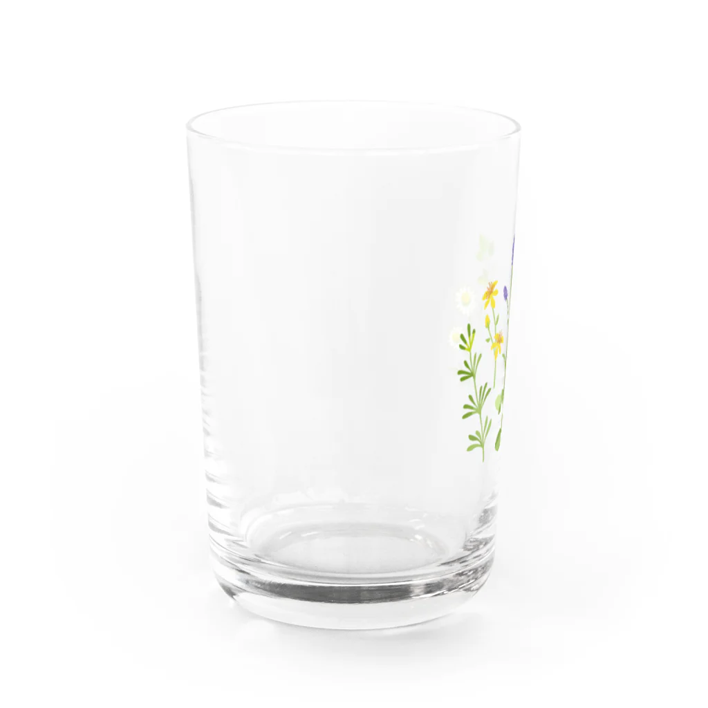 ypocketのハーブの図鑑 Water Glass :left