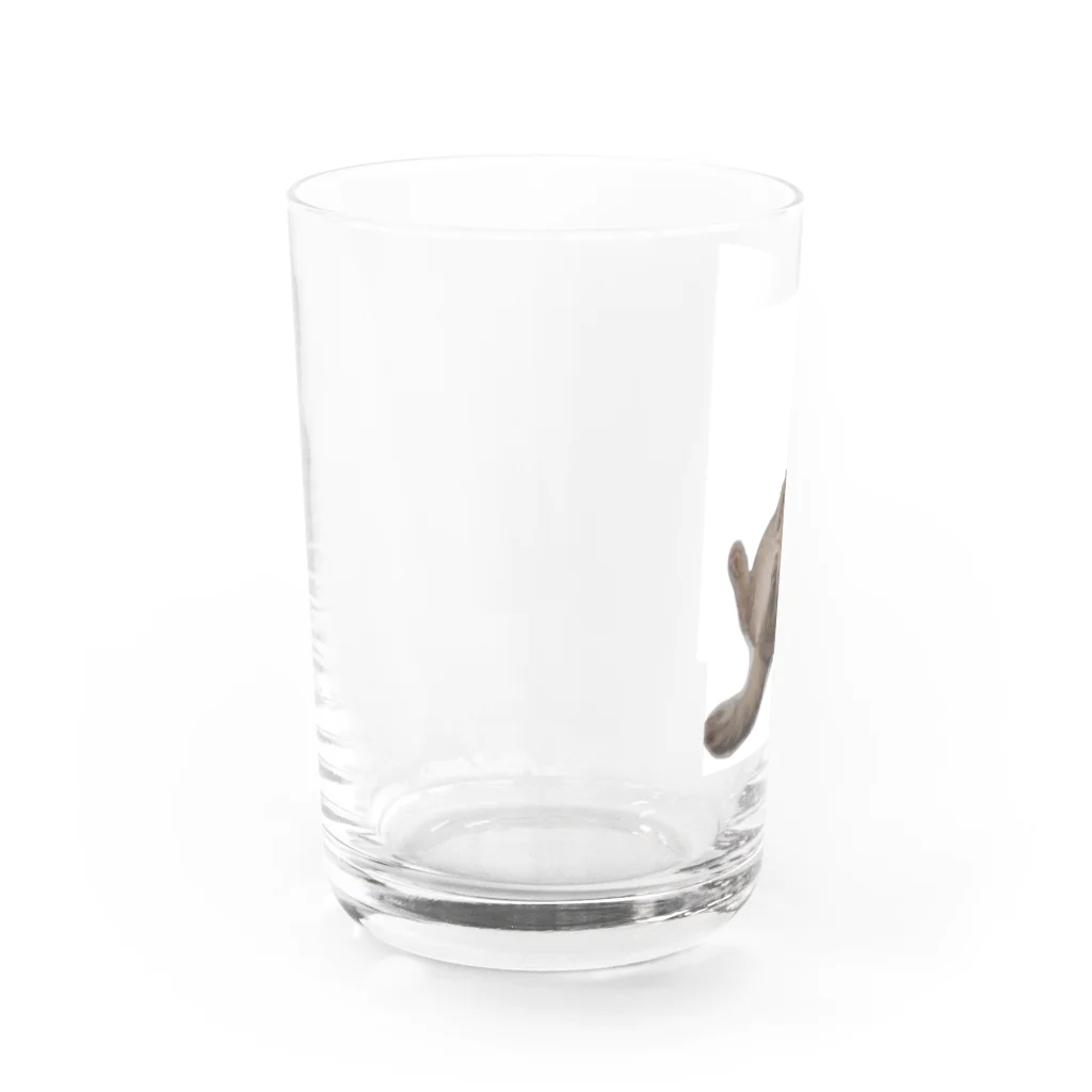 白湯の人の家のネコ Water Glass :left