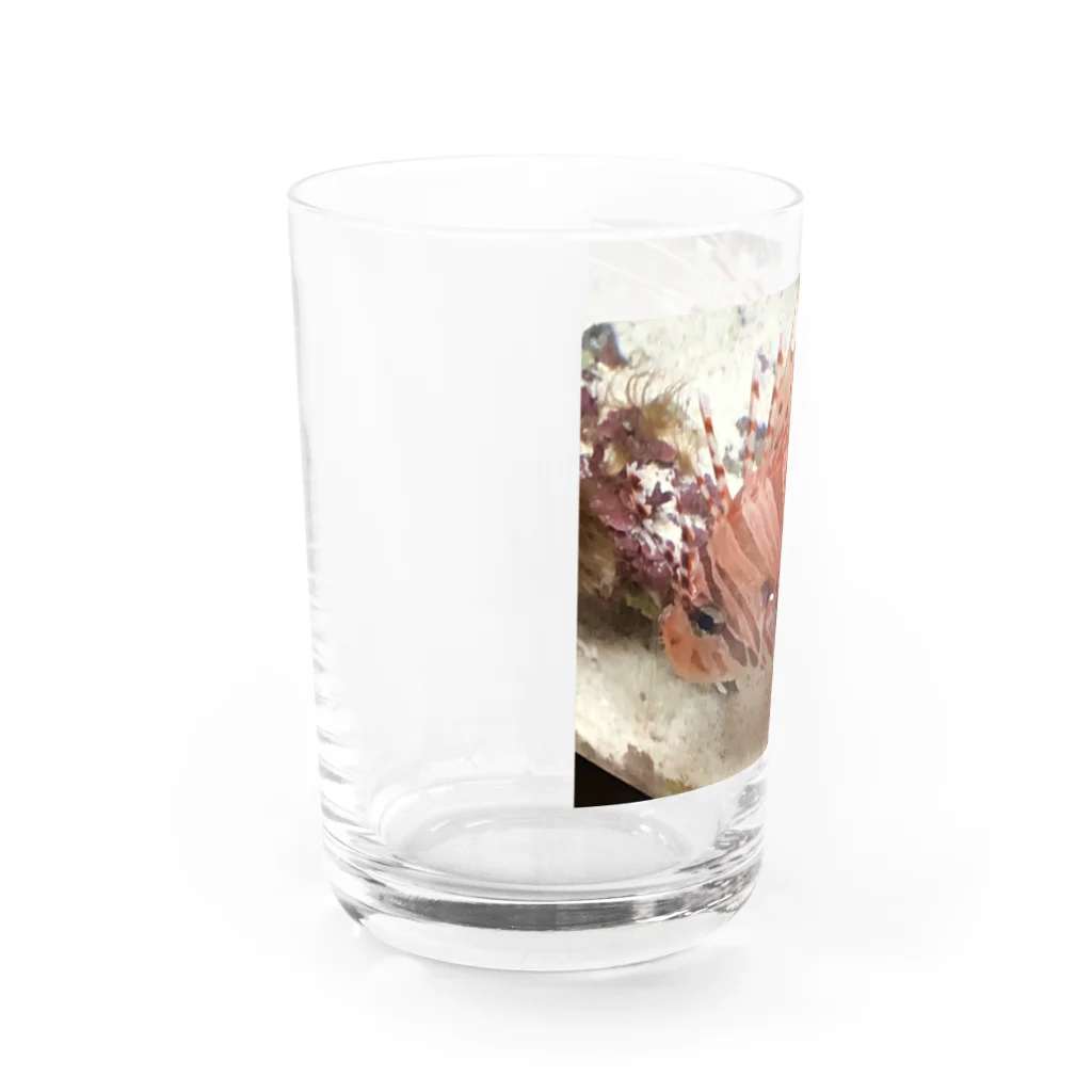 梅昆布茶のカサゴちゃん Water Glass :left