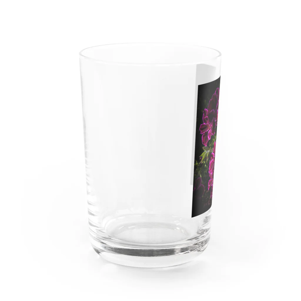 店ショップのブラックアンドピンク Water Glass :left