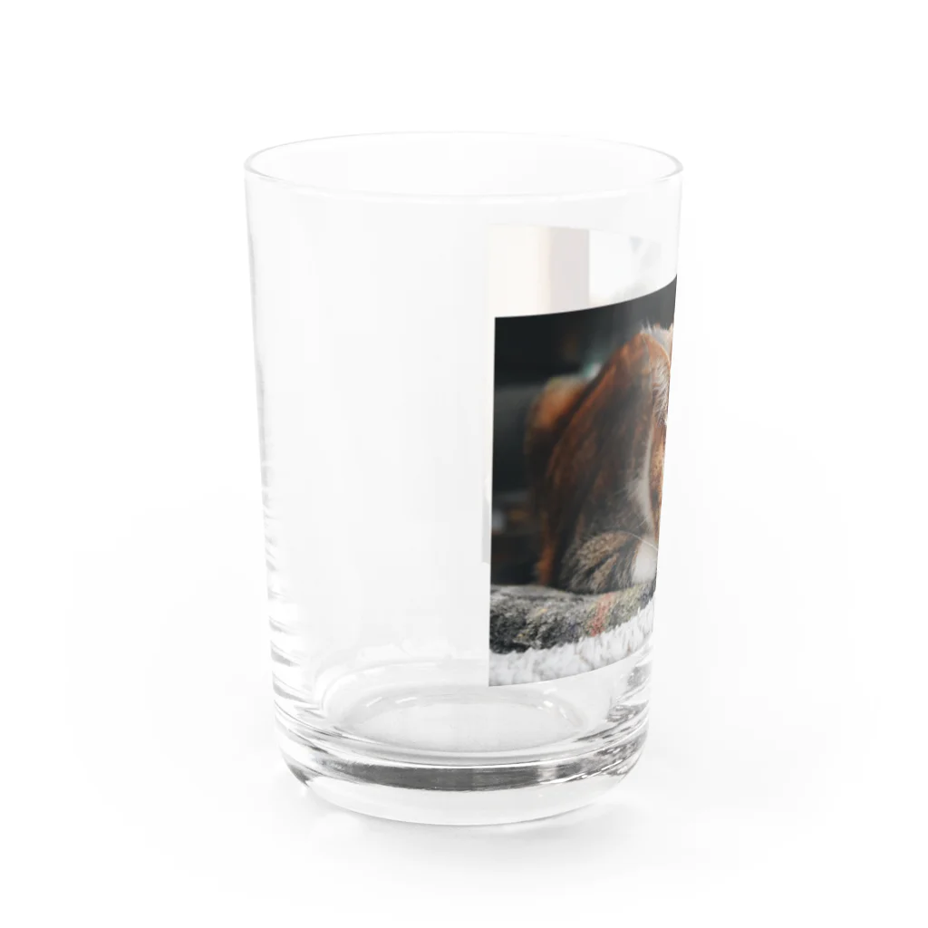 marihoのnem. Water Glass :left