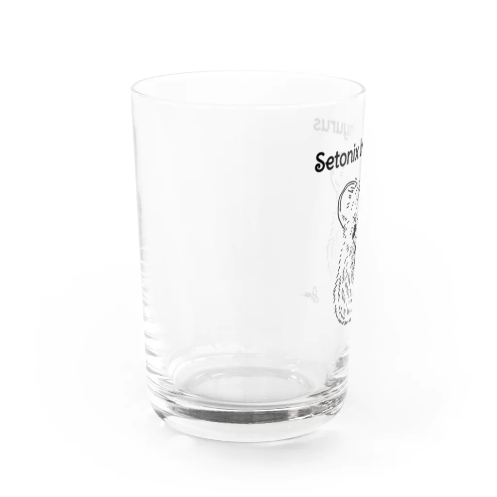 ▱個性の渋滞▱//storeのｸﾜｯｶﾜﾗﾋﾞくん Water Glass :left