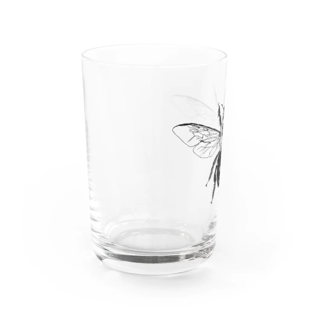 makkura.のクマバチ(xylcopa.) Water Glass :left