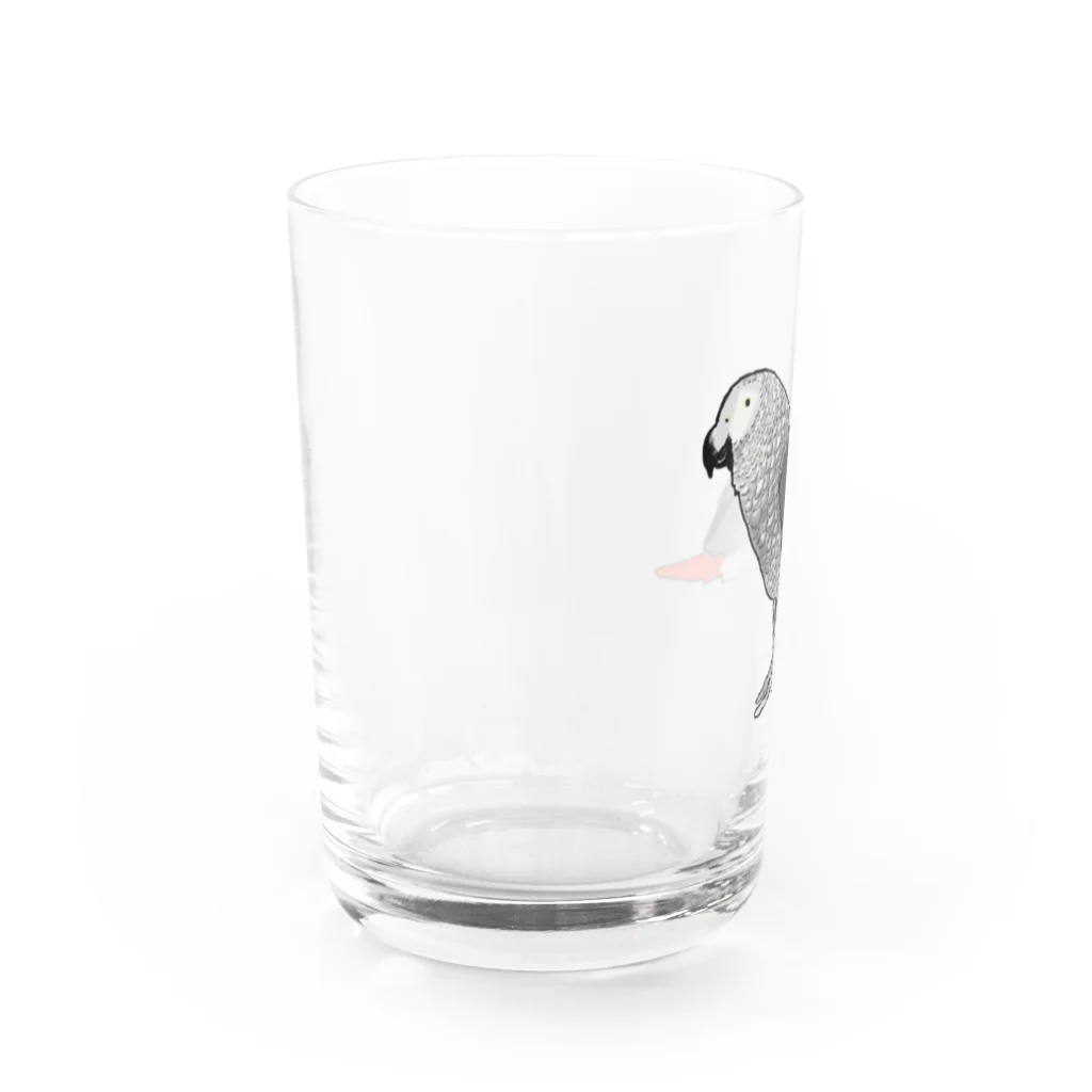 chippitomuの陽気なヨウムさん Water Glass :left