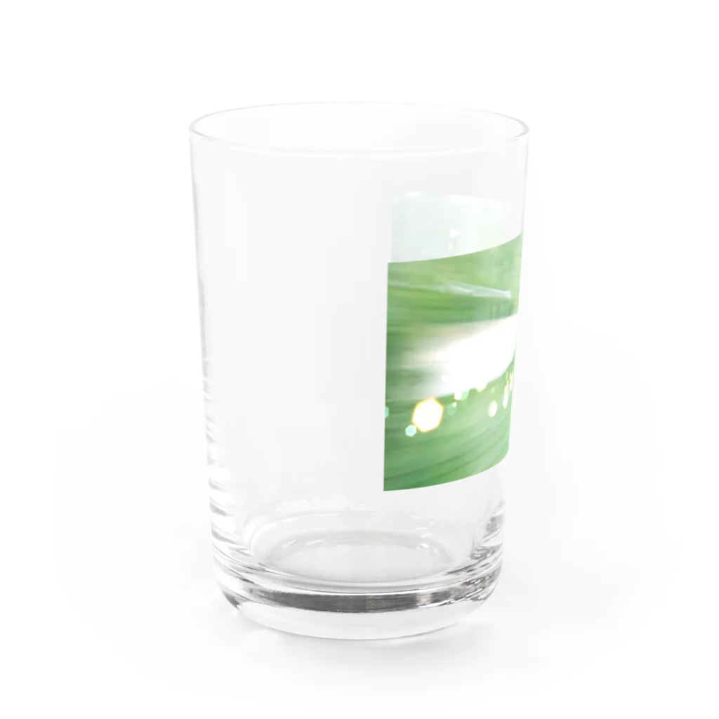 やまとねこのみどり（きらきら） Water Glass :left