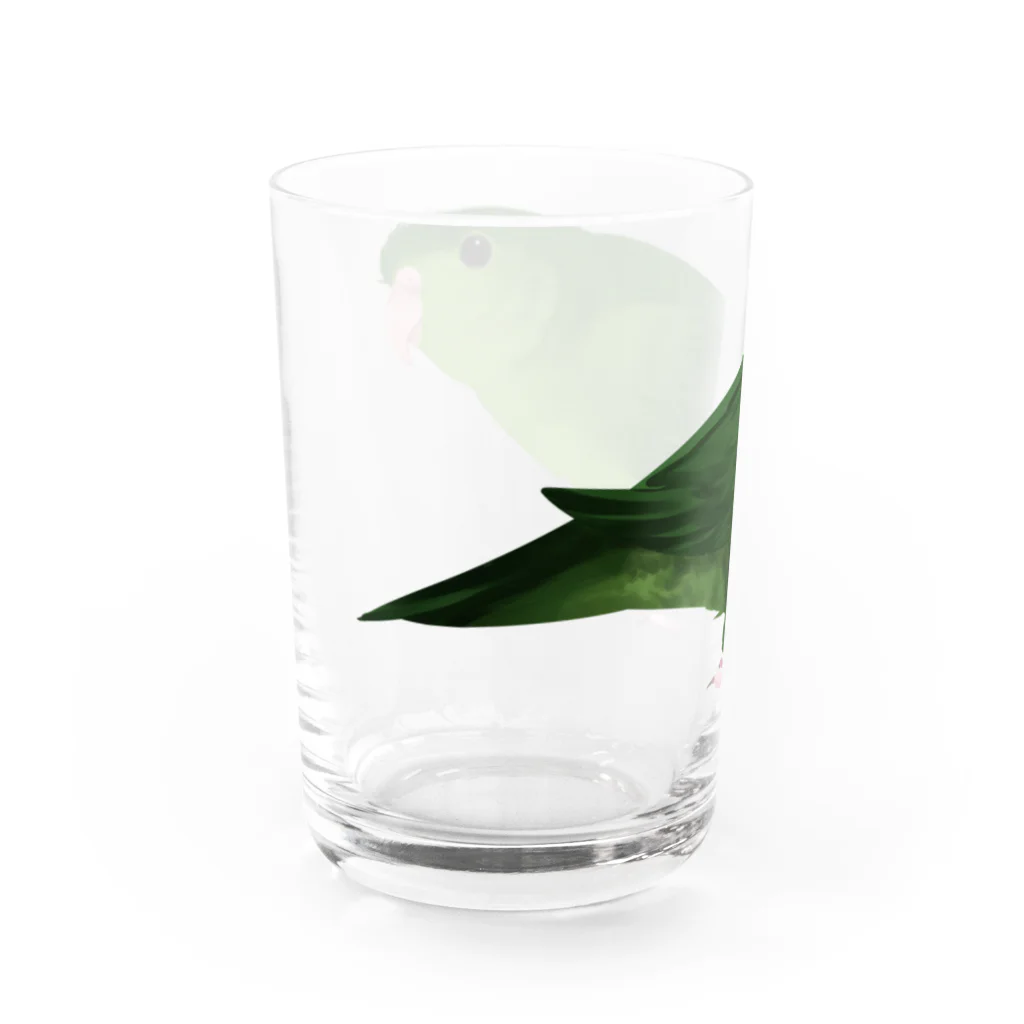 まめるりはことりのサザナミインコ　グリーン【まめるりはことり】 Water Glass :left