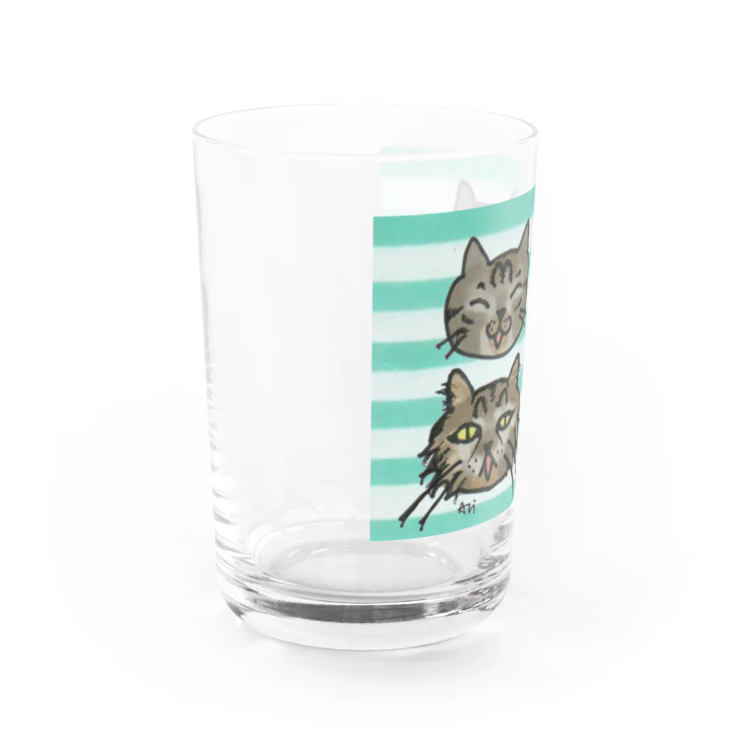 miku'ꜱGallery星猫の歴代にゃんズゆるゆるフェイス Water Glass :left