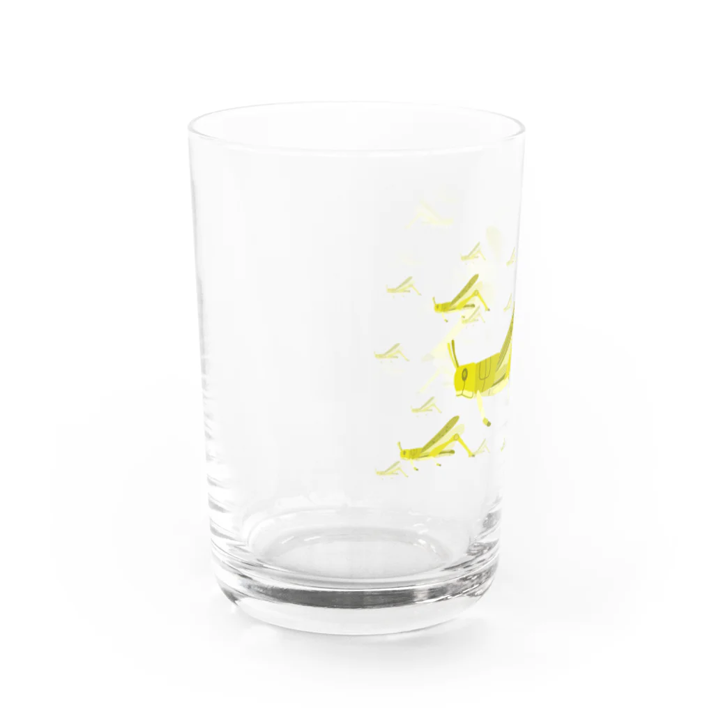 illust_designs_labのサバクトビバッタ 群生相 群体・蝗害 Water Glass :left