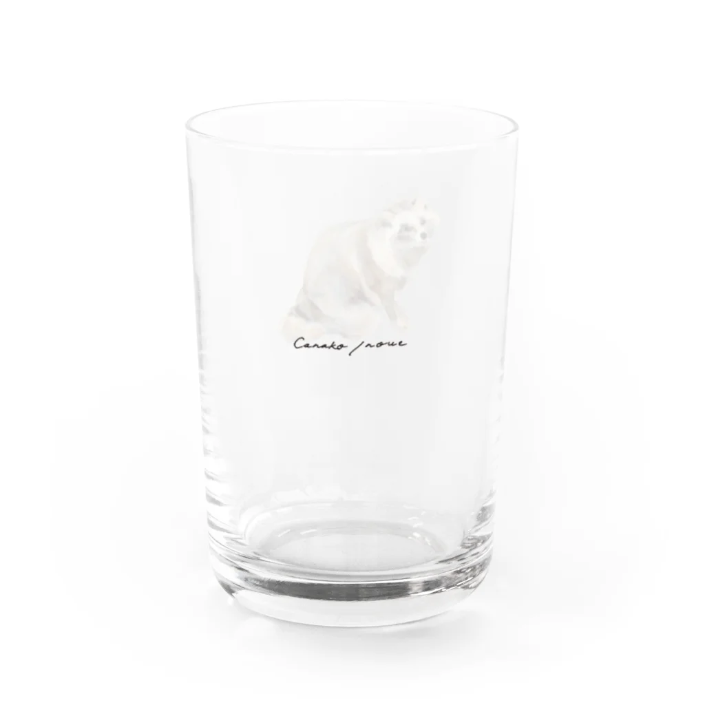 Canako Inoueのホンドタヌキ Water Glass :left